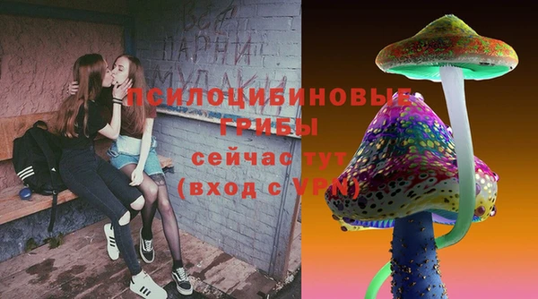 винт Баксан