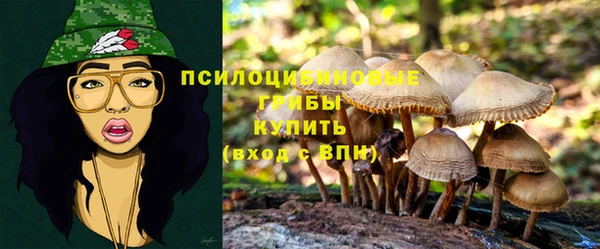 гашиш Балахна