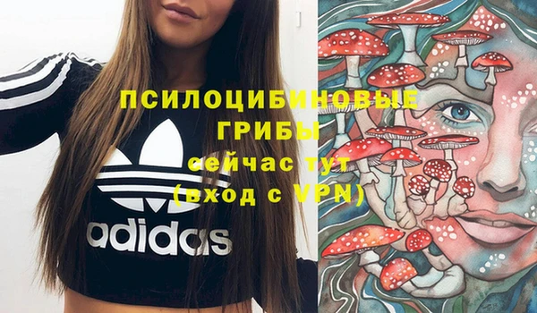 винт Баксан