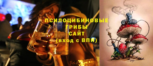 винт Баксан